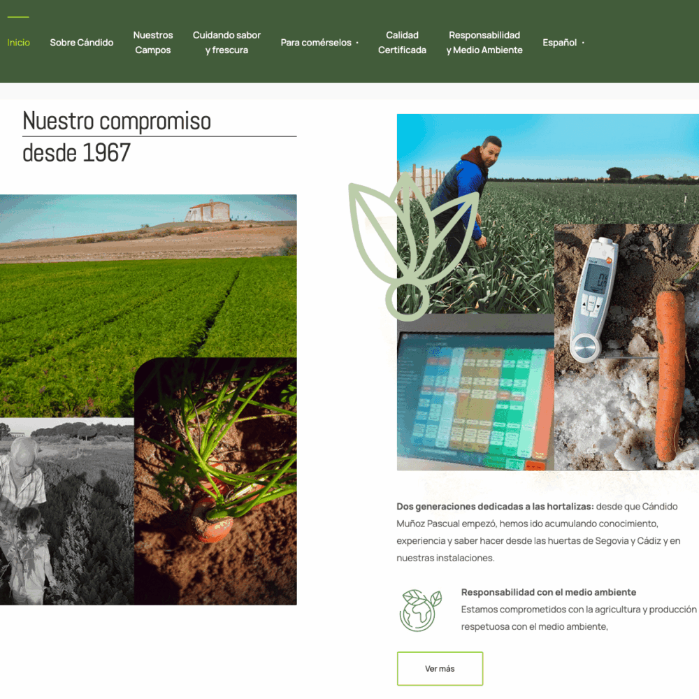 Web Hortalizas Candido