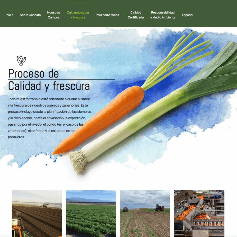 Web Hortalizas Candido