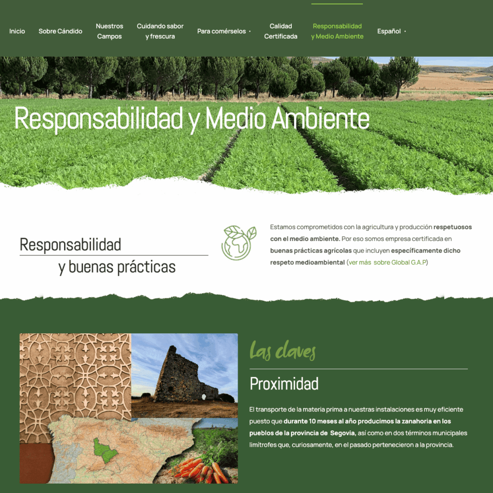 Web Hortalizas Candido