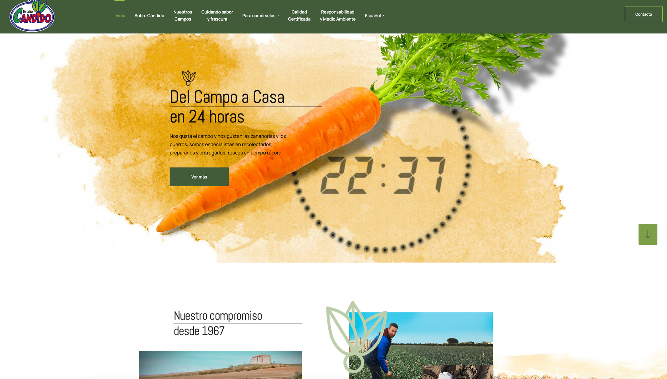 Web Hortalizas Candido
