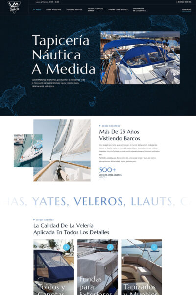 devluz-web-1